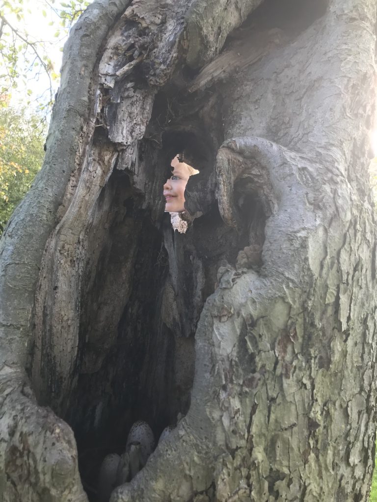 Boomgaard Ochtendblauw